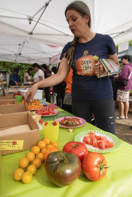 (260913) -- VANCOUVER, Sept. 13, 2026 (Xinhua) -- Tomatoes are displayed at a tomato festival in Vancouver, British Columbia, Canada, Sept. 12, 2026. The event was held here on Saturday, showcasing a wide variety of tomatoes cultivated by local farmers. It featured tomato tastings, exhibits, informational displays, as well as sales of various tomato varieties. (Photo by Liang Sen/Xinhua)