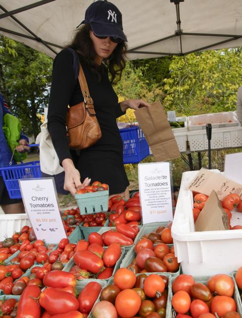 (260913) -- VANCOUVER, Sept. 13, 2026 (Xinhua) -- A woman shops for tomatoes at a tomato festival in Vancouver, British Columbia, Canada, Sept. 12, 2026. The event was held here on Saturday, showcasing a wide variety of tomatoes cultivated by local farmers. It featured tomato tastings, exhibits, informational displays, as well as sales of various tomato varieties. (Photo by Liang Sen/Xinhua)