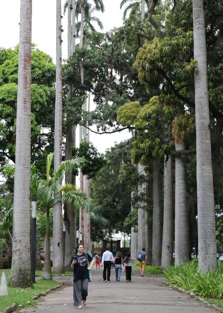 (260913) -- RIO DE JANEIRO, Sept. 13, 2026 (Xinhua) -- People take walks at Catete Palace in Rio de Janeiro, Brazil, Sept. 12, 2026. The Museum of the Republic is housed in Catete Palace in Rio de Janeiro, which served as Brazil's presidential palace from 1897 to 1960. (Xinhua/Jin Haoyuan)