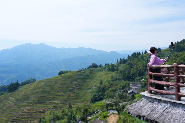 (260913) -- LOUDI, Sept. 13, 2026 (Xinhua) -- A tourist takes photos at the Ziquejie terraces in Xinhua County of Loudi City, central China's Hunan Province, Sept. 12, 2026. With a history dating back over 2,000 years, the Ziquejie terraces boast a distinct irrigation system and breathtaking views throughout the seasons, attracting plenty of tourists. (Xinhua/Chen Zhenhai)