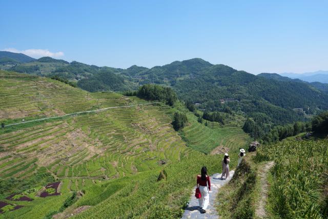 (260913) -- LOUDI, Sept. 13, 2026 (Xinhua) -- Tourists visit the Ziquejie terraces in Xinhua County of Loudi City, central China's Hunan Province, Sept. 12, 2026. With a history dating back over 2,000 years, the Ziquejie terraces boast a distinct irrigation system and breathtaking views throughout the seasons, attracting plenty of tourists. (Xinhua/Chen Zhenhai)