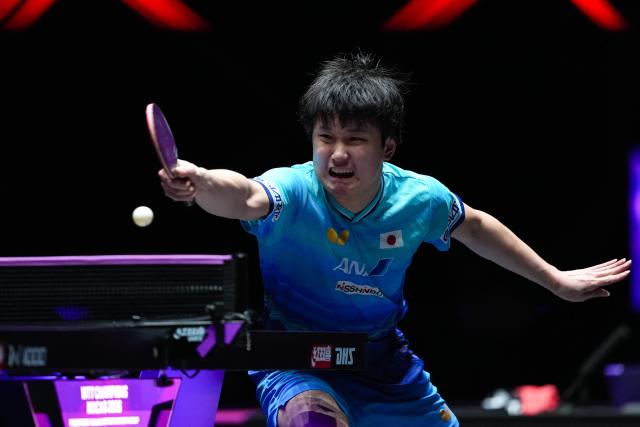 (260913) -- MACAO, Sept. 13, 2026 (Xinhua) -- Harimoto Tomokazu competes during the men's singles semifinal match between Truls Moregard of Sweden and Harimoto Tomokazu of Japan at the 2026 World Table Tennis (WTT) Champions Macao in Macao, south China, Sept. 13, 2026. (Xinhua/Cheong Kam Ka)