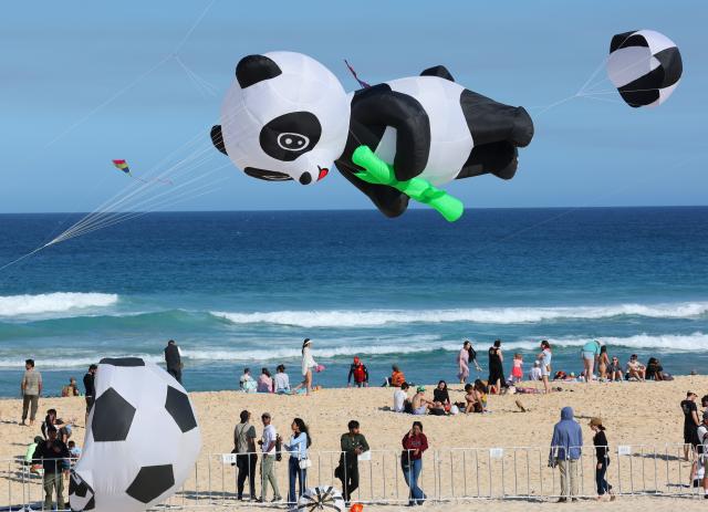 (260913) -- SYDNEY, Sept. 13, 2026 (Xinhua) -- Kites are seen during Australia's annual kite festival, the Festival of the Winds, at Bondi Beach in Sydney, Australia, Sept. 13, 2026. (Xinhua/Gong Bing)
