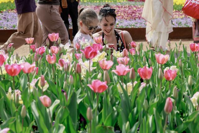 (260913) -- CANBERRA, Sept. 13, 2026 (Xinhua) -- People enjoy the Floriade flower festival in Canberra, Australia, Sept. 13, 2026. Floriade, Australia's biggest celebration of spring, returns to the national capital of Canberra for its 39th annual edition on Saturday.
   TO GO WITH "Australia's biggest celebration of spring returns to Canberra" (Photo by Chu Chen/Xinhua)