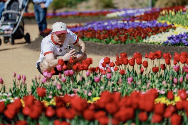 (260913) -- CANBERRA, Sept. 13, 2026 (Xinhua) -- A visitor takes photos of flowers at the Floriade flower festival in Canberra, Australia, Sept. 13, 2026. Floriade, Australia's biggest celebration of spring, returns to the national capital of Canberra for its 39th annual edition on Saturday.
   TO GO WITH "Australia's biggest celebration of spring returns to Canberra" (Photo by Chu Chen/Xinhua)