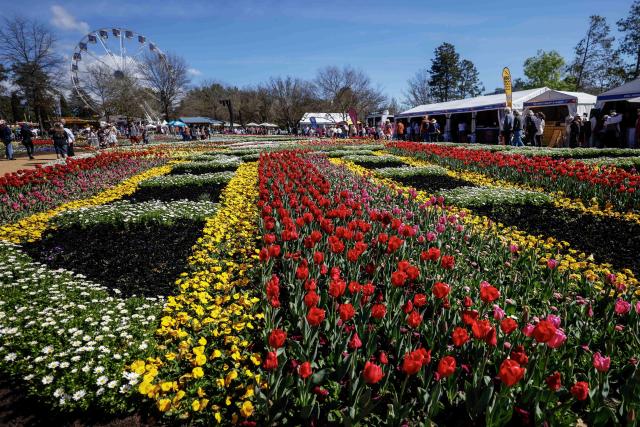 (260913) -- CANBERRA, Sept. 13, 2026 (Xinhua) -- This photo taken on Sept. 13, 2026 shows the Floriade flower festival in Canberra, Australia. Floriade, Australia's biggest celebration of spring, returns to the national capital of Canberra for its 39th annual edition on Saturday.
   TO GO WITH "Australia's biggest celebration of spring returns to Canberra" (Photo by Chu Chen/Xinhua)