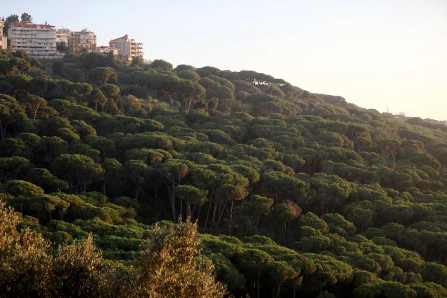 (260913) -- BRUMMANA, Sept. 13, 2026 (Xinhua) -- This photo taken on Sept. 12, 2026 shows a dusk view in Brummana, Lebanon. (Xinhua/Bilal Jawich)
