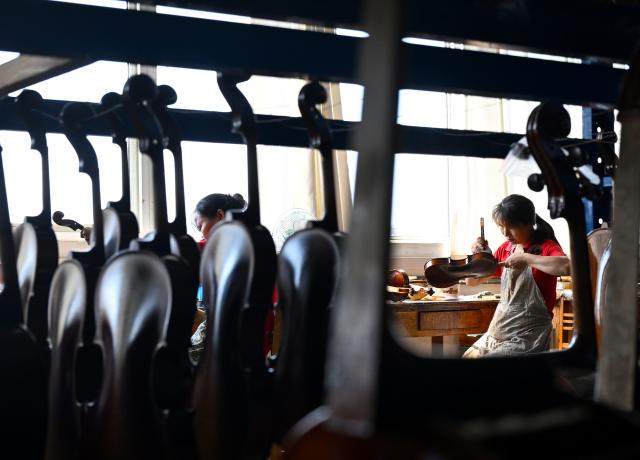 (260914) -- BEIJING, Sept. 14, 2026 (Xinhua) -- Staff members make violins at a string instrument manufacturer in Queshan County of Zhumadian City, central China's Henan Province, Sept. 12, 2026. The violin-making industry of Queshan County thrived in recent years as skilled luthiers returned home to start their own businesses. With an annual output of about 400,000 violins, Queshan produces more than 80 percent of made-in-China medium- and high-end violins, violas, cellos, bass and violin accessories. Many violin-related products from Queshan are made for overseas markets including Italy, the United States, France and Germany. (Xinhua/Hao Yuan)
