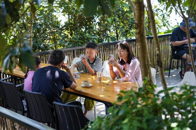 (260914) -- LINCANG, Sept. 14, 2026 (Xinhua) -- Tourists enjoy leisure time at Xigui coffee estate in Xigui Village of Lincang City, southwest China's Yunnan Province on Sept. 13, 2026. As one of the important coffee production areas in Yunnan Province, Lincang City, relying on its unique natural resources, has vigorously developed a business model integrating coffee industry and tourism. Tourists can experience coffee culture in an immersive way at the coffee estates, unlocking new experiences of rural leisure.
   By the end of 2025, the coffee planting area in Lincang City had reached approximately 290,000 mu (about 19,333 hectares). The coffee industry is becoming an important engine driving the development of local agricultural, cultural and tourism economy. (Xinhua/Chen Xinbo)