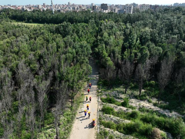 (260914) -- HUI'AN, Sept. 14, 2026 (Xinhua) -- An aerial drone photo taken on Sept. 9, 2026 shows female forest rangers walking toward the office compound after work at the Xiaozuo Forest Farm in Hui'an County, southeast China's Fujian Province. Early autumn sees millions of casuarina trees swaying gently by the wind at Xiaozuo Forest Farm in Hui'an County. Behind this lush forest lies sixty years of perseverance by female rangers.
   Located at the largest wind-sand outlet in eastern Hui'an, what is now Xiaozuo Forest Farm used to be a barren saline-alkali wasteland back in the 1960s and 70s. The farm was officially founded in 1963 as part of the efforts to restore the local ecosystem. 
   Twenty young Hui'an women arrived here to plant and protect trees in 1966. They carried fresh water and transported red soil from afar to nurture saplings with great care. Yet every autumn and winter, fierce sea winds would destroy the trees they had worked so hard to grow. 
   Chen Liying joined the farm in 1972. Bearing maturity and competence beyond her age, reinforced by the legendary diligence that Hui'an women are well noted for, she grew from an ordinary team member into the Party branch secretary and director of the farm.
    After years of exploration, Chen and her fellow female rangers pioneered a new method for afforestation, which greatly raised the survival rate of casuarina seedlings. Chen and her team planted 750,000 casuarina trees on this saline land since the 1980s, covering an area of over 1,000 mu (about 66.7 hectares) with a survival rate above 85 percent.
   Generations of female Hui'an rangers have miraculously turned wasteland into oasis. Today, the shelterbelt of Xiaozuo Forest Farm runs more than 2,000 meters along the coast, serving as a natural barrier against wind and sand on the county's southeastern shore, protecting nearby villages and farmland. (Xinhua/Jiang Kehong)