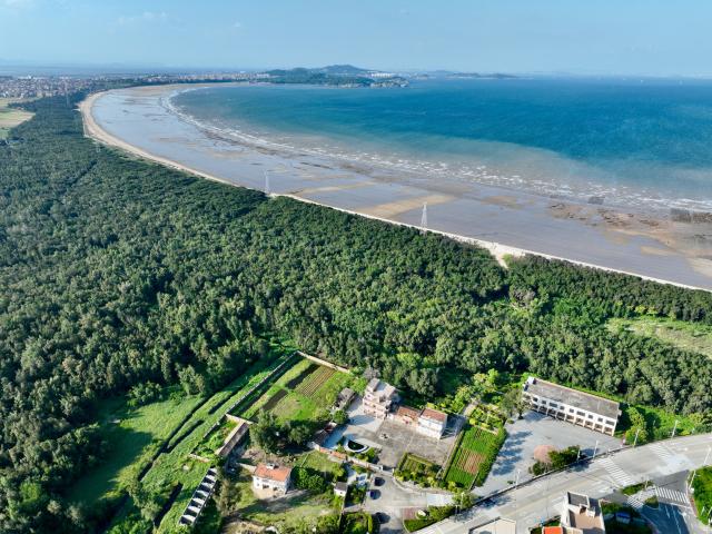 (260914) -- HUI'AN, Sept. 14, 2026 (Xinhua) -- An aerial drone photo taken on Sept. 9, 2026 shows the office compound and coastal shelterbelt of Xiaozuo Forest Farm in Hui'an County, southeast China's Fujian Province. Early autumn sees millions of casuarina trees swaying gently by the wind at Xiaozuo Forest Farm in Hui'an County. Behind this lush forest lies sixty years of perseverance by female rangers.
   Located at the largest wind-sand outlet in eastern Hui'an, what is now Xiaozuo Forest Farm used to be a barren saline-alkali wasteland back in the 1960s and 70s. The farm was officially founded in 1963 as part of the efforts to restore the local ecosystem. 
   Twenty young Hui'an women arrived here to plant and protect trees in 1966. They carried fresh water and transported red soil from afar to nurture saplings with great care. Yet every autumn and winter, fierce sea winds would destroy the trees they had worked so hard to grow. 
   Chen Liying joined the farm in 1972. Bearing maturity and competence beyond her age, reinforced by the legendary diligence that Hui'an women are well noted for, she grew from an ordinary team member into the Party branch secretary and director of the farm.
    After years of exploration, Chen and her fellow female rangers pioneered a new method for afforestation, which greatly raised the survival rate of casuarina seedlings. Chen and her team planted 750,000 casuarina trees on this saline land since the 1980s, covering an area of over 1,000 mu (about 66.7 hectares) with a survival rate above 85 percent.
   Generations of female Hui'an rangers have miraculously turned wasteland into oasis. Today, the shelterbelt of Xiaozuo Forest Farm runs more than 2,000 meters along the coast, serving as a natural barrier against wind and sand on the county's southeastern shore, protecting nearby villages and farmland. (Xinhua/Jiang Kehong)