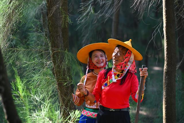 (260914) -- HUI'AN, Sept. 14, 2026 (Xinhua) -- Chen Liying (R) shares patrol experience with a newly recruited female forest ranger at the Xiaozuo Forest Farm in Hui'an County, southeast China's Fujian Province, Sept. 9, 2026. Early autumn sees millions of casuarina trees swaying gently by the wind at Xiaozuo Forest Farm in Hui'an County. Behind this lush forest lies sixty years of perseverance by female rangers.
   Located at the largest wind-sand outlet in eastern Hui'an, what is now Xiaozuo Forest Farm used to be a barren saline-alkali wasteland back in the 1960s and 70s. The farm was officially founded in 1963 as part of the efforts to restore the local ecosystem. 
   Twenty young Hui'an women arrived here to plant and protect trees in 1966. They carried fresh water and transported red soil from afar to nurture saplings with great care. Yet every autumn and winter, fierce sea winds would destroy the trees they had worked so hard to grow. 
   Chen Liying joined the farm in 1972. Bearing maturity and competence beyond her age, reinforced by the legendary diligence that Hui'an women are well noted for, she grew from an ordinary team member into the Party branch secretary and director of the farm.
    After years of exploration, Chen and her fellow female rangers pioneered a new method for afforestation, which greatly raised the survival rate of casuarina seedlings. Chen and her team planted 750,000 casuarina trees on this saline land since the 1980s, covering an area of over 1,000 mu (about 66.7 hectares) with a survival rate above 85 percent.
   Generations of female Hui'an rangers have miraculously turned wasteland into oasis. Today, the shelterbelt of Xiaozuo Forest Farm runs more than 2,000 meters along the coast, serving as a natural barrier against wind and sand on the county's southeastern shore, protecting nearby villages and farmland. (Xinhua/Jiang Kehong)