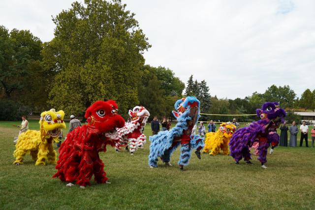 (260914) -- BUDAPEST, Sept. 14, 2026 (Xinhua) -- People perform lion dance during the 6th Family and Friends Gathering of the Hungarian Chan Wu Federation on Margaret Island in Budapest, Hungary, Sept. 13, 2026. (Xinhua/Chen Hao)
