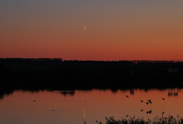 (260914) -- HARBIN, Sept. 14, 2026 (Xinhua) -- This photo taken on Sept. 14, 2026 shows the planet of Venus next to the moon in the sky over Baiquan County, northeast China's Heilongjiang Province. (Photo by Lyu Shuxin/Xinhua)
