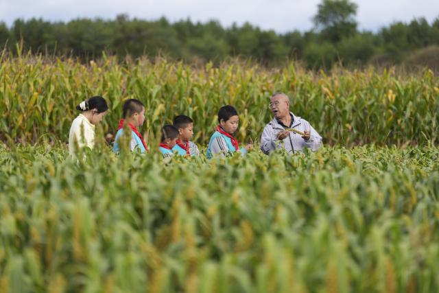 (260914) -- DATONG, Sept. 14, 2026 (Xinhua) -- Yao Jian (1st R) and students have a class in a field in Sandun Village, Huayuantun Town of Datong, north China's Shanxi Province, Sept. 9, 2026. One day in early autumn, at Sandun Primary School at the foot of the Great Wall section built during the Ming Dynasty (1368-1644) in northern Shanxi, Yao Jian stood on the podium and gave students a lecture. Twenty-eight years have passed since the 52-year-old village teacher began his career at the school. 
  There are only seven teaching staff members and six students at Sandun Primary School, which is located on the border between north China's Shanxi Province and Inner Mongolia Autonomous Region. Tucked away in a remote area and difficult to reach, the school offers children from surrounding villages a vital path to education. 
  In 1998, Yao Jian returned to his hometown and became a teacher after graduating from normal university. Two years later, with outstanding teaching achievements, he was assigned to Sandun Primary School. In 2004, he became the principal of the school, where he also acted as chef, procurement agent and driver.
  When the school was transformed into a boarding school in 2012, he drove his car to pick up and drop off those students who lived far away in all weathers.
  Back in 2002, Yao's wife Ma Lirong moved in to support her husband and take care of these students. Later, Ma also became a teacher there. 
  "Being a teacher is a lifelong undertaking that cannot be taken lightly in the slightest," said Yao Jian. He has developed a special teaching method which combines theoretical knowledge with practice.
  In recent years, the local government has allocated various teaching equipment to the school, while welfare organizations and businesses have also brought teaching and daily necessities. "I want to be like the Great Wall, continuing to stand firm on the front line of rural education and safeguard the children's dreams of education," said Yao. (Xinhua/Yang Chenguang)