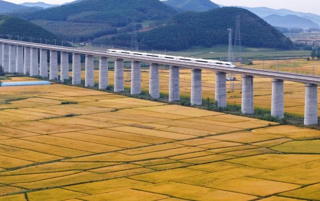 (260915) -- HARBIN, Sept. 15, 2026 (Xinhua) -- A drone photo taken on Sept. 12, 2026 shows a bullet train running along a bridge over paddy fields in Hailin City, northeast China's Heilongjiang Province. Heilongjiang is embracing the ripening season of paddy rice. (Photo by Zhang Chunxiang/Xinhua)