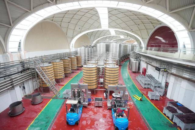 (260915) -- YINCHUAN, Sept. 15, 2026 (Xinhua) -- Staff work at a winery of Minning Town in Yinchuan, northwest China's Ningxia Hui Autonomous Region, Oct. 14, 2025. (Xinhua/Wang Peng)