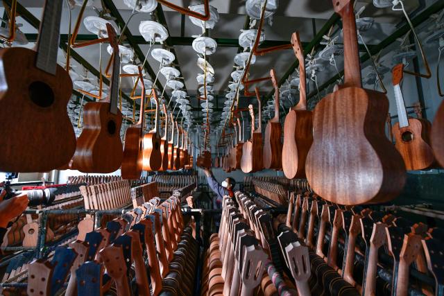 (260915) -- YINCHUAN, Sept. 15, 2026 (Xinhua) -- A worker checks the products at a workshop in a guitar industrial park in Zheng'an County, southwest China's Guizhou Province, Oct. 12, 2024. (Xinhua/Yang Wenbin)