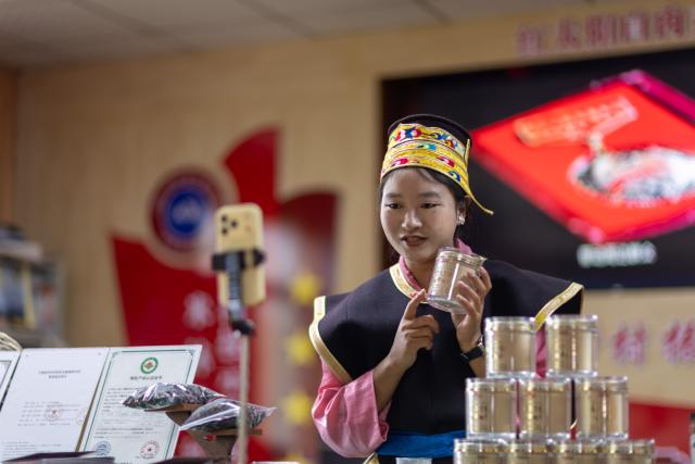 (260915) -- LHASA, Sept. 15, 2026 (Xinhua) -- A college graduate staff member promotes products via livestreaming in Milin, Nyingchi, southwest China's Xizang Autonomous Region, Sept. 14, 2026. In 2008, Milin County (now Milin City) in Nyingchi registered Nyima's family as a poor household and offered him a 150,000-yuan (about 22,348.95 U.S. dollars) loan. Starting by collecting wild white-fleshed Lingzhi, or Ganoderma leucocontextum, Nyima explored artificial cultivation and built a spawn workshop and a simulated wild cultivation base in 2012.
   Nyima's daughter Tsomo graduated from the Central University of Finance and Economics. In 2019, she left her state-owned enterprise job and returned to the demonstration family farm founded by her father. "The farm needs college-educated young people, so I came back," she said.
   The two generations divide up responsibilities. Father Nyima oversees the whole farm, elder brother Tsering Norbu handles core spawn cultivation technology, and Tsomo focuses on marketing and sales to drive the farm's technological and brand upgrade.
   The farm's Lingzhi base and greenhouses cover over 1,000 mu (about 66.7 hectares), with an output value reaching 9.2 million yuan (about 1.37 million U.S. dollars) in 2025. The farm has not only provided 35 stable jobs and hired four local college graduates, but also offered free spawn bags and technical guidance to the villagers. (Xinhua/Jiang Fan)