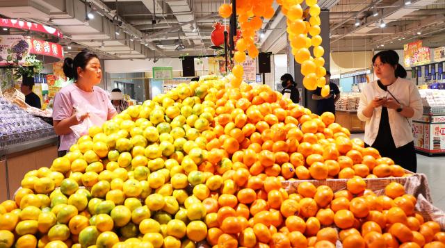 (260916) -- BEIJING, Sept. 16, 2026 (Xinhua) -- Citizens select fruits at a supermarket in Haizhou District of Lianyungang, east China's Jiangsu Province, Sept. 15, 2026. China's economy maintained steady momentum boosted by innovation-led and high-quality development in August, with production and supply growing steadily, employment and prices generally stable, and foreign trade registering rapid growth, official data showed on Tuesday. (Photo by Geng Yuhe/Xinhua)