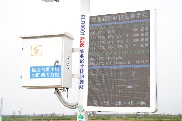(260916) -- JIAYU, Sept. 16, 2026 (Xinhua) -- A display screen shows real-time data such as the temperature and humidity of the plots in Panjiawan Town, Jiayu County, Xianning City of central China's Hubei Province, Sept. 15, 2026. In recent years, Jiayu County has vigorously developed its vegetable industry. By introducing experts teams and scientific research institutions, the county has boosted quality and output of vegetables and increased local farmers' incomes. In the first half of 2026, Jiayu's vegetable plantation area reached 228,000 mu (15,200 hectares) with a total output of 864,300 tonnes, marking a year-on-year growth of 3.27 percent. (Xinhua/Lu Jinbo)
