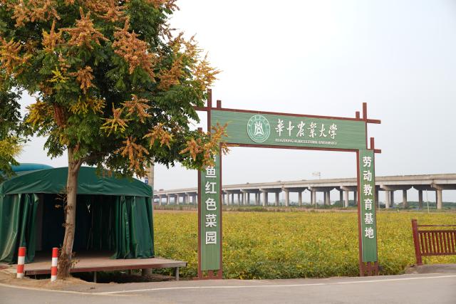 (260916) -- JIAYU, Sept. 16, 2026 (Xinhua) -- This photo taken on Sept. 15, 2026 shows a vegetable field, also an education base for Huazhong Agricultural University, in Jiayu County of Xianning City, central China's Hubei Province. In recent years, Jiayu County has vigorously developed its vegetable industry. By introducing experts teams and scientific research institutions, the county has boosted quality and output of vegetables and increased local farmers' incomes. In the first half of 2026, Jiayu's vegetable plantation area reached 228,000 mu (15,200 hectares) with a total output of 864,300 tonnes, marking a year-on-year growth of 3.27 percent. (Xinhua/Lu Jinbo)