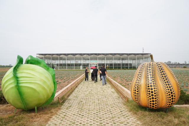 (260916) -- JIAYU, Sept. 16, 2026 (Xinhua) -- This photo taken on Sept. 15, 2026 shows a vegetable science and technology demonstration park in Jiayu County of Xianning City, central China's Hubei Province. In recent years, Jiayu County has vigorously developed its vegetable industry. By introducing experts teams and scientific research institutions, the county has boosted quality and output of vegetables and increased local farmers' incomes. In the first half of 2026, Jiayu's vegetable plantation area reached 228,000 mu (15,200 hectares) with a total output of 864,300 tonnes, marking a year-on-year growth of 3.27 percent. (Xinhua/Lu Jinbo)