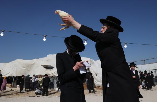 (260917) -- BEIT SHEMESH, Sept. 17, 2026 (Xinhua) -- An Ultra-Orthodox Jew holds a white chicken for the Kaparot ceremony, where white chickens are slaughtered as a symbolic gesture of atonement ahead of Yom Kippur, the Jewish Day of Atonement, in the central Israeli city of Beit Shemesh on Sept. 17, 2026. (Photo by Gil Cohen Magen/Xinhua)