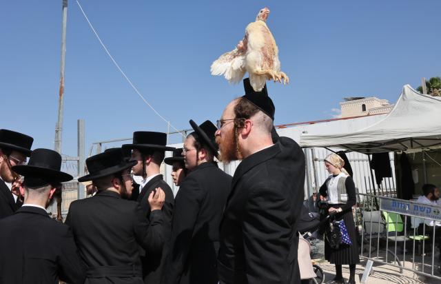 (260917) -- BEIT SHEMESH, Sept. 17, 2026 (Xinhua) -- An Ultra-Orthodox Jew holds a white chicken for the Kaparot ceremony, where white chickens are slaughtered as a symbolic gesture of atonement ahead of Yom Kippur, the Jewish Day of Atonement, in the central Israeli city of Beit Shemesh on Sept. 17, 2026. (Photo by Gil Cohen Magen/Xinhua)