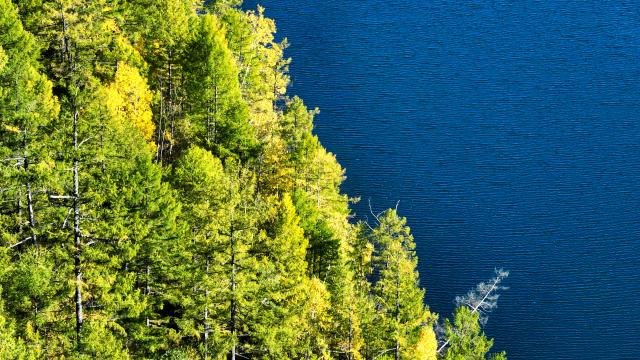 (260918) -- ARXAN, Sept. 18, 2026 (Xinhua) -- An aerial drone photo taken on Sept. 16, 2026 shows the autumn scenery of the Arxan National Forest Park in Arxan of Hinggan League, north China's Inner Mongolia Autonomous Region. (Xinhua/Bei He)