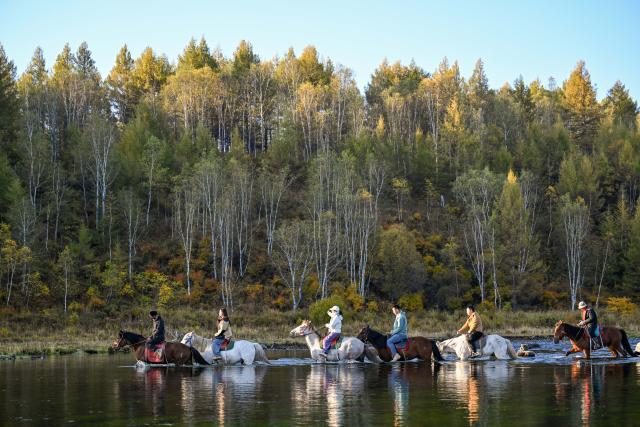 (260918) -- ARXAN, Sept. 18, 2026 (Xinhua) -- Tourists ride horses at the Arxan National Forest Park in Arxan of Hinggan League, north China's Inner Mongolia Autonomous Region, Sept. 18, 2026. (Xinhua/Bei He)