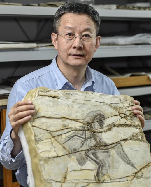 (260918) -- BEIJING, Sept. 18, 2026 (Xinhua) -- This undated photo shows Xu Xing presenting a dinosaur fossil that he and his colleagues discovered in 2024. TO GO WITH "Feature: Unlikely journey of China's Dinosaur Whisperer" (Xinhua)