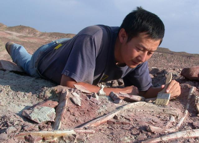 (260918) -- BEIJING, Sept. 18, 2026 (Xinhua) -- This undated photo shows Xu Xing working on exposed fossils in northwest China's Xinjiang Uygur Autonomous Region. TO GO WITH "Feature: Unlikely journey of China's Dinosaur Whisperer" (Xinhua)