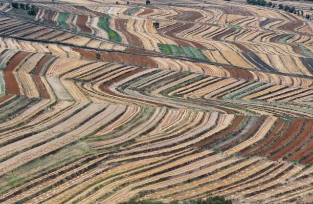 (260919) -- SHIJIAZHUANG, Sept. 19, 2026 (Xinhua) -- An aerial drone photo taken on Sept. 18, 2026 shows the autumn scenery in Zhangbei County of Bashang area, north China's Hebei Province. (Xinhua/Yang Shiyao)