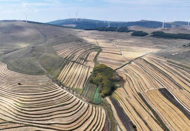 (260919) -- SHIJIAZHUANG, Sept. 19, 2026 (Xinhua) -- An aerial drone photo taken on Sept. 18, 2026 shows the autumn scenery in Zhangbei County of Bashang area, north China's Hebei Province. (Xinhua/Yang Shiyao)