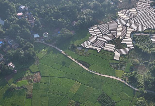 (260919) -- GUILIN, Sept. 19, 2026 (Xinhua) -- An aerial drone photo taken on Aug. 11, 2026 shows a view of grape gardens and paddy fields in Maozhushan Village of Quanzhou County of Guilin City, south China's Guangxi Zhuang Autonomous Region. In the winter of 1934 during the Long March, the Red Army fought its way across the Xiangjiang River in Guangxi and broke through the Kuomintang troops' blockade, but suffered tens of thousands of casualties in the battle.
   In Quanzhou, Guanyang and Xing'an counties, where the Battle of the Xiangjiang River was fought, the spirit of the Long March has been passed down through generations. Today, roads wind through mountains that Red Army soldiers once crossed on foot, connecting once-isolated villages with the outside world. Local people keep striving on the path of rural revitalization. (Xinhua/Huang Xiaobang)
