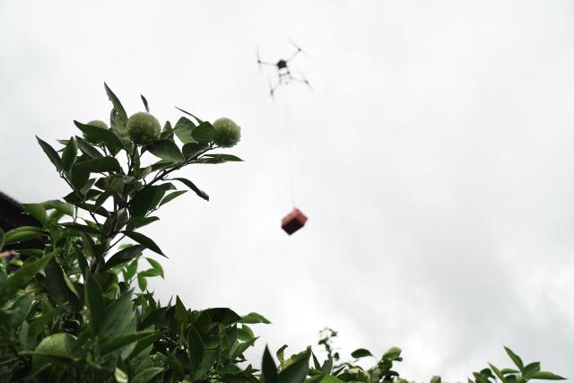 (260919) -- ZIGUI, Sept. 19, 2026 (Xinhua) -- A drone transports oranges at an agricultural demonstration park in Zigui County of Yichang, central China's Hubei Province, Sept. 18, 2026. TO GO WITH "Across China: In China's mountain orchards, oranges are taking flight" (Xinhua/Lu Jinbo)