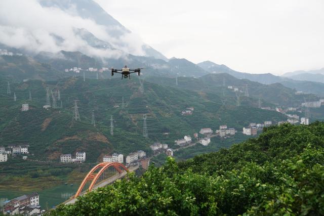 (260919) -- ZIGUI, Sept. 19, 2026 (Xinhua) -- A drone monitors an agricultural demonstration park in Zigui County of Yichang, central China's Hubei Province, Sept. 18, 2026. TO GO WITH "Across China: In China's mountain orchards, oranges are taking flight" (Xinhua/Lu Jinbo)