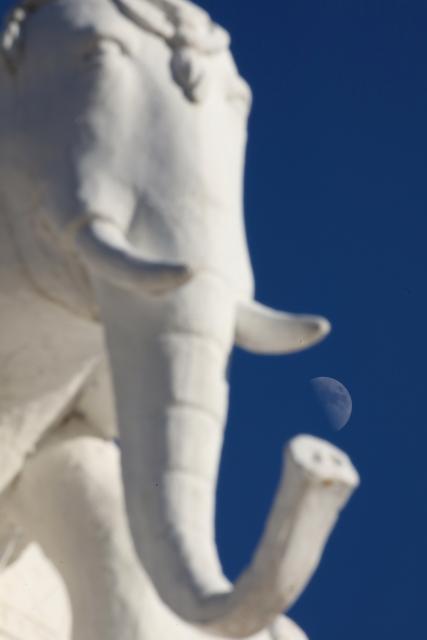 (260919) -- JINGHONG, Sept. 19, 2026 (Xinhua) -- This photo taken on Sept. 19, 2026 shows the first quarter moon in the sky in Jinghong City, southwest China's Yunnan Province. (Photo by Li Yunsheng/Xinhua)