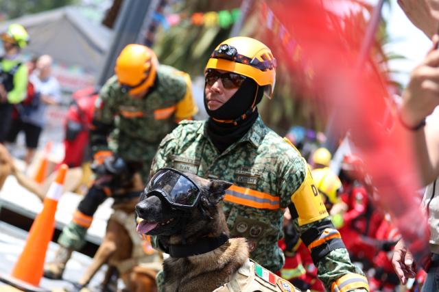 (260919) -- MEXICO CITY, Sept. 19, 2026 (Xinhua) -- Emergency rescue team members and rescue dogs take part in the Second National Earthquake Drill 2026, in Mexico City, capital of Mexico, on Sept. 19, 2026. (Photo by Francisco Canedo/Xinhua)