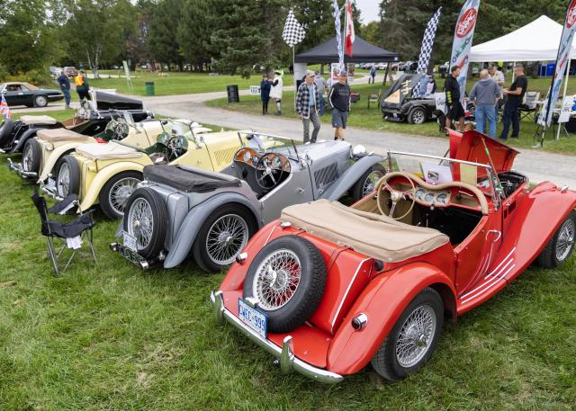 (260921) -- OAKVILLE, Sept. 21, 2026 (Xinhua) -- People visit the 2026 British Car Day event in Oakville, Ontario, Canada, on Sept. 20, 2026. The event featured over 1,000 British-made vehicles and attracted thousands of spectators. (Photo by Zou Zheng/Xinhua)