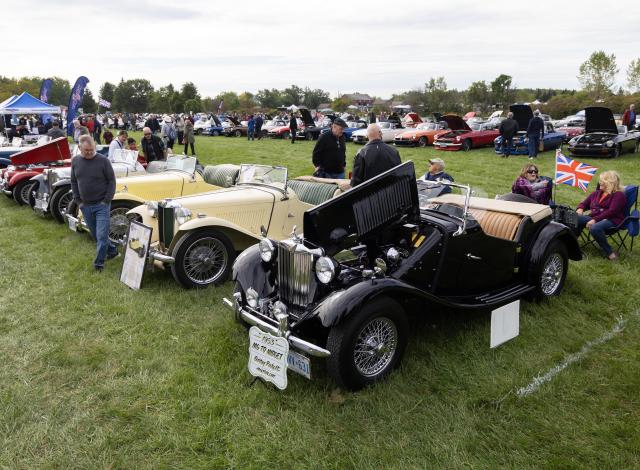 (260921) -- OAKVILLE, Sept. 21, 2026 (Xinhua) -- People visit the 2026 British Car Day event in Oakville, Ontario, Canada, on Sept. 20, 2026. The event featured over 1,000 British-made vehicles and attracted thousands of spectators. (Photo by Zou Zheng/Xinhua)
