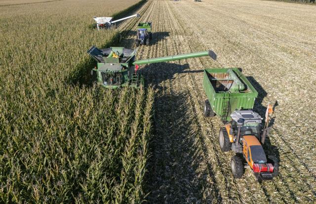 (260921) -- SHUANGYASHAN, Sept. 21, 2026 (Xinhua) -- This drone photo taken on Sept. 21, 2026 shows harvesters working in a corn field of Youyi Farm Co., Ltd. under Beidahuang Group in northeast China's Heilongjiang Province. Heilongjiang, an important grain-producing province in China, entered the harvest season in September. (Xinhua/Wang Song)