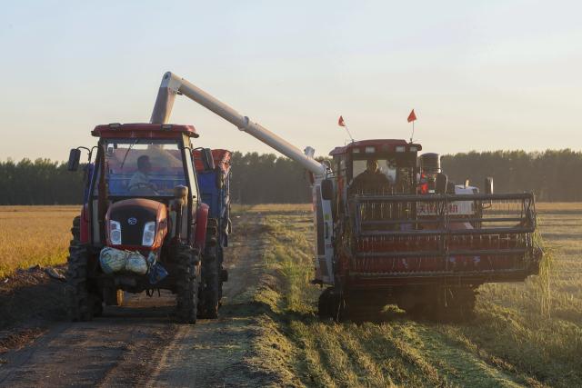 (260921) -- SHUANGYASHAN, Sept. 21, 2026 (Xinhua) -- Harvesters work in a rice field of Youyi Farm Co., Ltd. under Beidahuang Group in northeast China's Heilongjiang Province, Sept. 21, 2026. Heilongjiang, an important grain-producing province in China, entered the harvest season in September. (Xinhua/Wang Song)