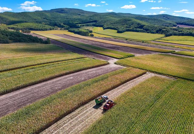 (260922) -- HARBIN, Sept. 22, 2026 (Xinhua) -- An aerial drone photo taken on Sept. 21, 2026 shows agricultural machinery working in a corn field in Fujin City, northeast China's Heilongjiang Province. Heilongjiang, an important grain-producing province in China, entered the harvest season in September. (Photo by Qu Yubao/Xinhua)