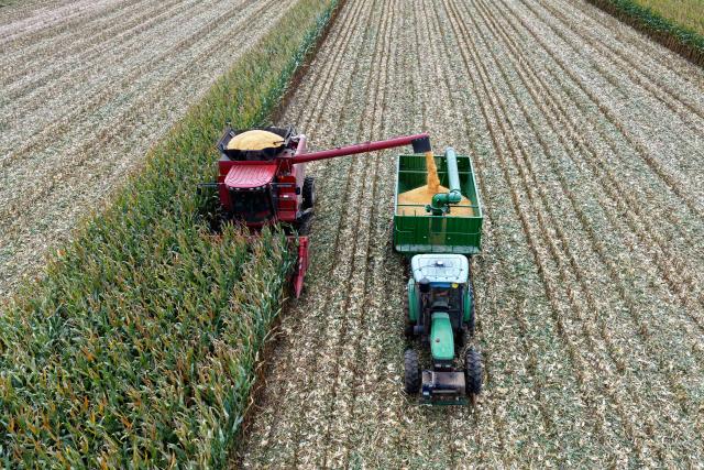 (260922) -- HARBIN, Sept. 22, 2026 (Xinhua) -- An aerial drone photo taken on Sept. 21, 2026 shows a harvester working in a corn field of a farm under Beidahuang Group in northeast China's Heilongjiang Province. Heilongjiang, an important grain-producing province in China, entered the harvest season in September. (Photo by Li Ang/Xinhua)