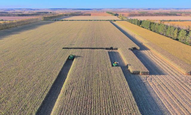 (260922) -- HARBIN, Sept. 22, 2026 (Xinhua) -- An aerial drone photo taken on Sept. 21, 2026 shows harvesters working in a corn field of a farm under Beidahuang Group in northeast China's Heilongjiang Province. Heilongjiang, an important grain-producing province in China, entered the harvest season in September. (Photo by Zhang Hongxi/Xinhua)