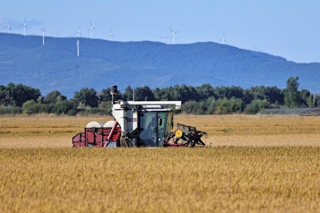 (260922) -- HARBIN, Sept. 22, 2026 (Xinhua) -- A harvester works in a rice field of a farm under Beidahuang Group in northeast China's Heilongjiang Province, Sept. 21, 2026. Heilongjiang, an important grain-producing province in China, entered the harvest season in September. (Photo by Liu Wanping/Xinhua)