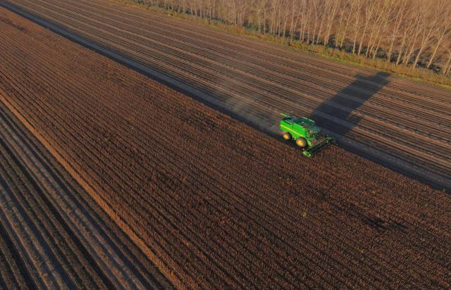(260922) -- HARBIN, Sept. 22, 2026 (Xinhua) -- An aerial drone photo taken on Sept. 21, 2026 shows a harvester working in a soybean field of a farm under Beidahuang Group in northeast China's Heilongjiang Province. Heilongjiang, an important grain-producing province in China, entered the harvest season in September. (Photo by Lin Jinchun/Xinhua)