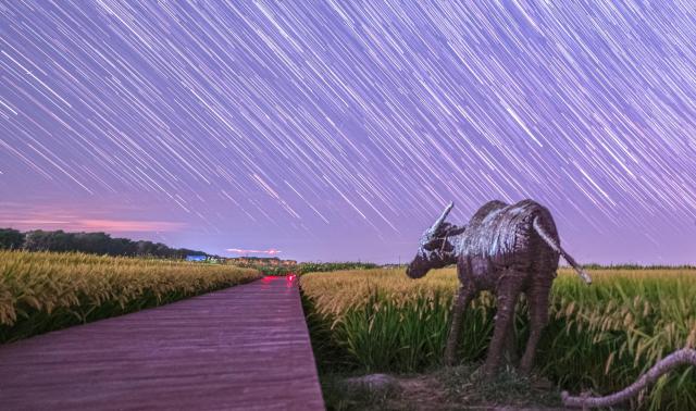 (260923) -- HARBIN, Sept. 23, 2026 (Xinhua) -- This stack composite photo taken on Sept. 19, 2026 shows a paddy field under starry sky in Zhaodong City, northeast China's Heilongjiang Province. (Photo by Liu Dapeng/Xinhua)